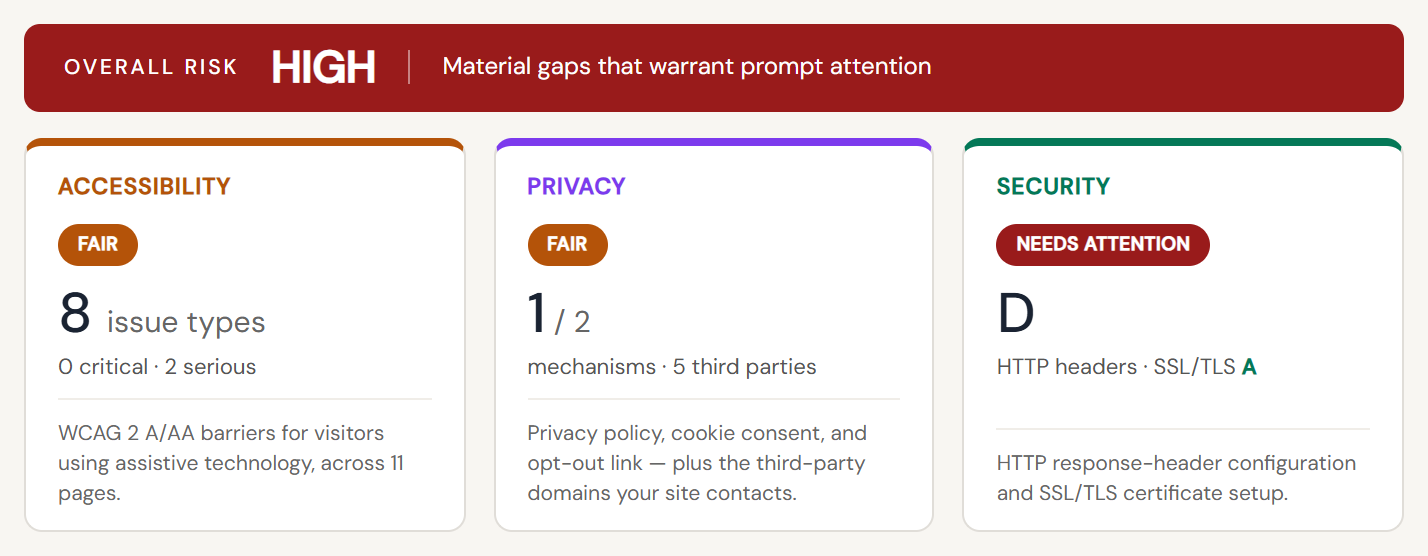 The report opens on a scorecard: an overall-risk band and a rating for accessibility, privacy, and security. The site name is hidden.